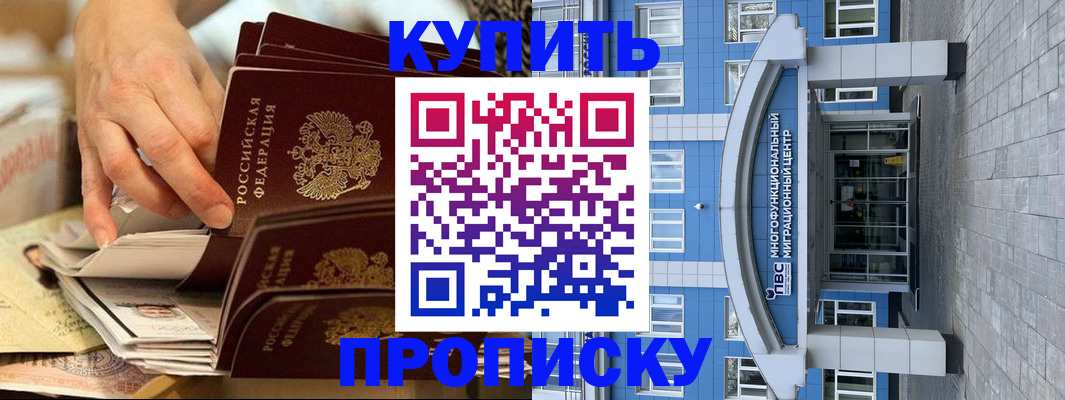 прописка гарантия в Высоковске